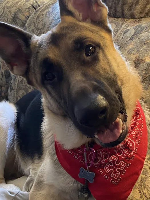 East-side Veterinary Clinic Picture 4