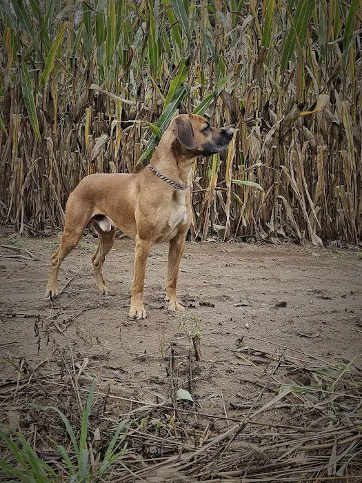 East-side Veterinary Clinic Picture 6