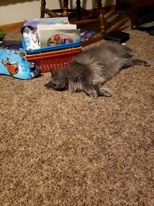 East-side Veterinary Clinic Picture 10