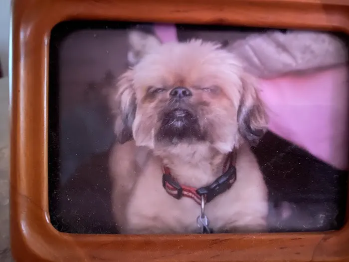 East-side Veterinary Clinic Picture 9