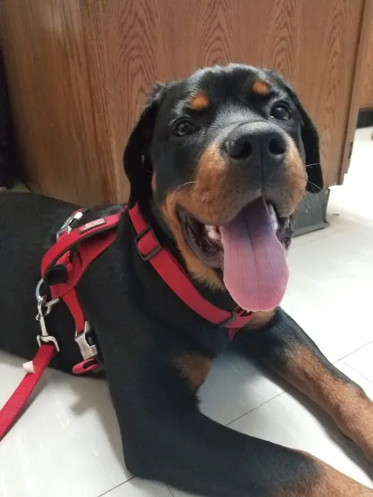 East-side Veterinary Clinic Picture 8