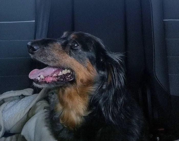 Deuel Veterinary Services Picture 1