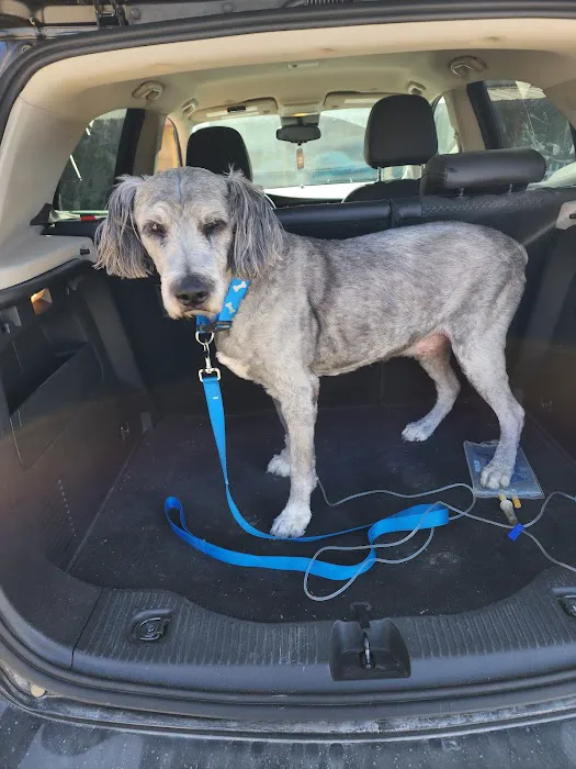 Deuel Veterinary Services Picture 5