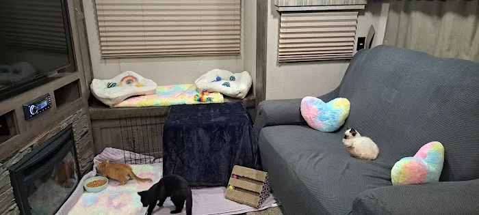 Paws Here Veterinary Services Ltd Picture 3