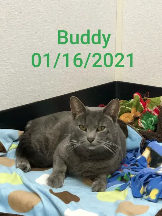 Paws Here Veterinary Services Ltd Picture 7