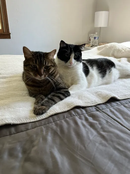 Paws Here Veterinary Services Ltd Picture 5