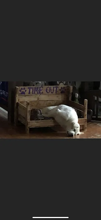 Paws Here Veterinary Services Ltd Picture 6