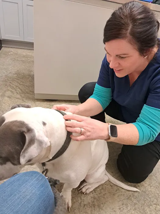 Paws Here Veterinary Services Ltd Picture 8