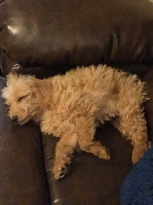 Douglas Veterinary Clinic Picture 2