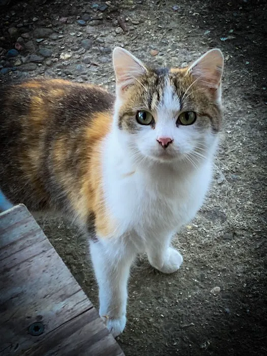 Douglas Veterinary Clinic Picture 5