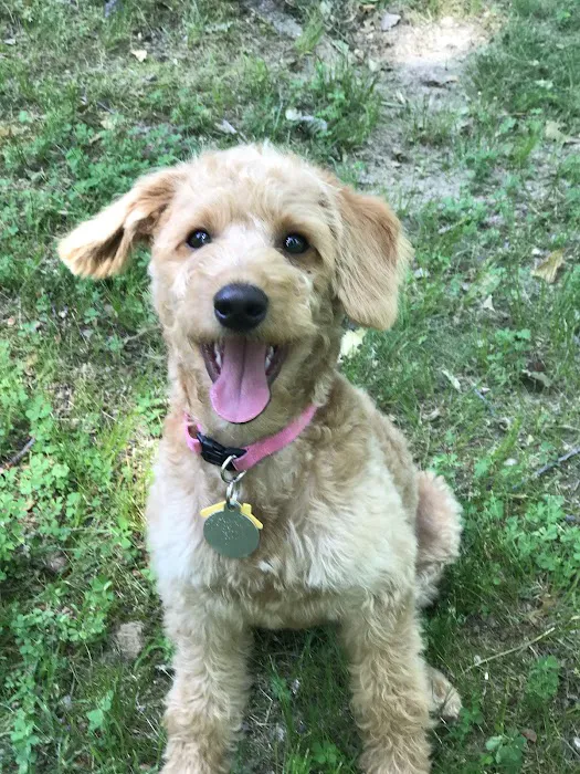 Douglas Veterinary Clinic Picture 6