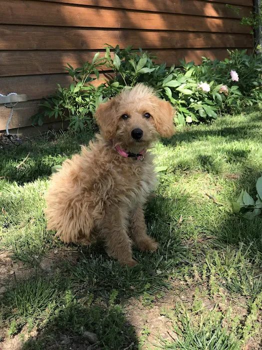 Douglas Veterinary Clinic Picture 7