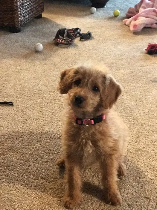 Douglas Veterinary Clinic Picture 9