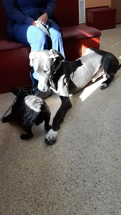 Lamczyk Veterinary Clinic LLC Picture 1