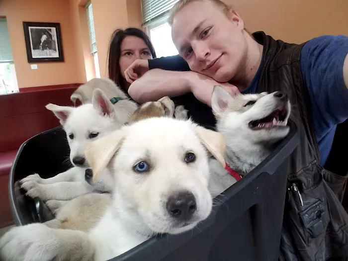 Lamczyk Veterinary Clinic LLC Picture 2