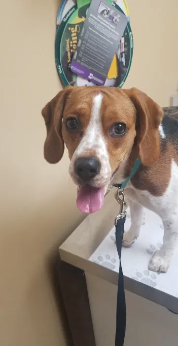 Lamczyk Veterinary Clinic LLC Picture 5