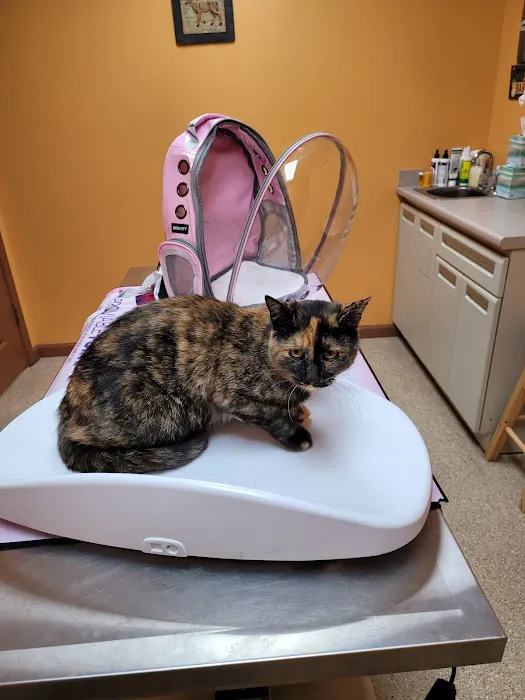 Lamczyk Veterinary Clinic LLC Picture 3