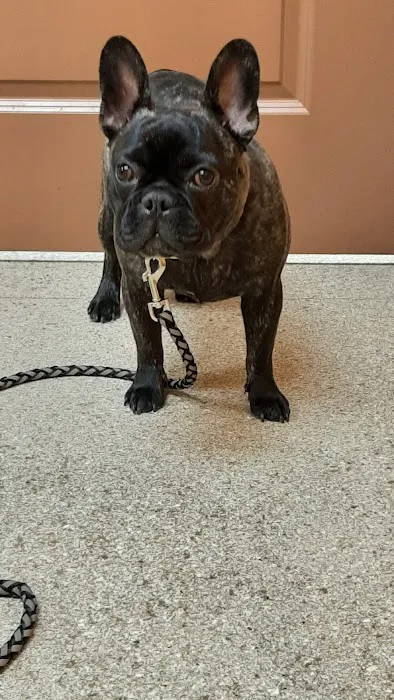 Lamczyk Veterinary Clinic LLC Picture 8