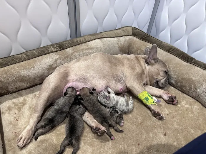 Lamczyk Veterinary Clinic LLC Picture 10