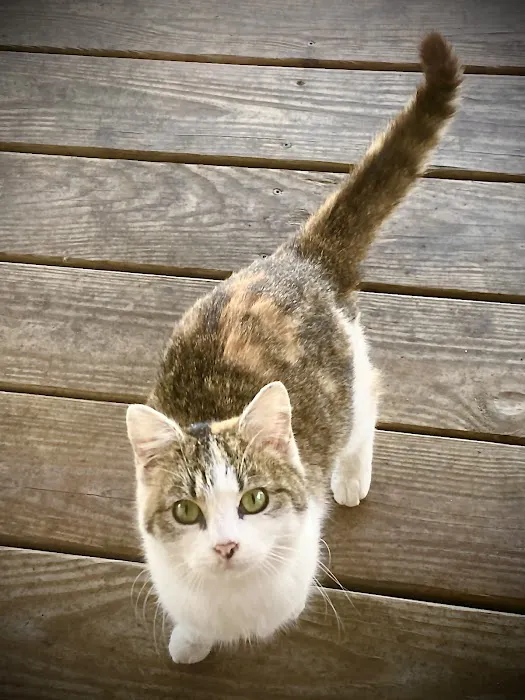 Lamczyk Veterinary Clinic LLC Picture 9