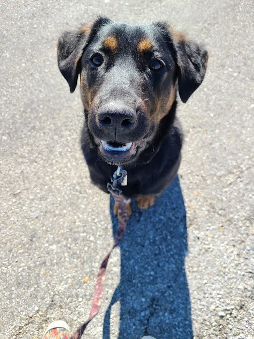 Thousand Hills Veterinary Clinic Picture 2