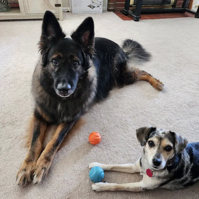 Thousand Hills Veterinary Clinic Picture 3