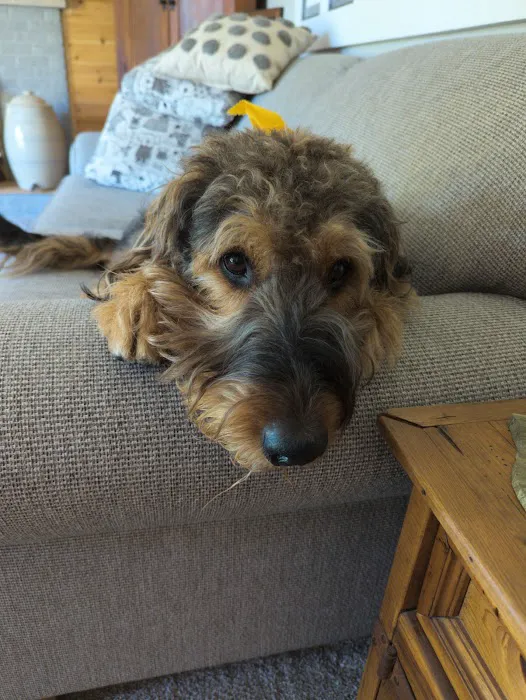 Thousand Hills Veterinary Clinic Picture 1