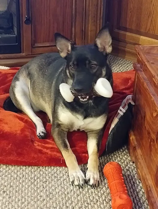 Thousand Hills Veterinary Clinic Picture 5