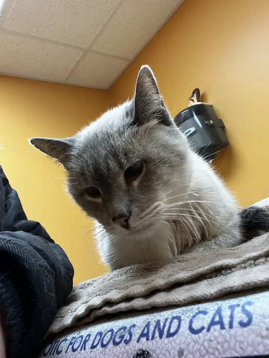 Thousand Hills Veterinary Clinic Picture 8