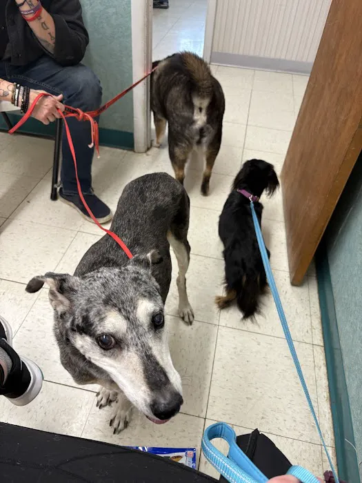 Thousand Hills Veterinary Clinic Picture 7