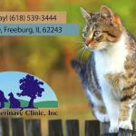 AnRus Veterinary Clinic