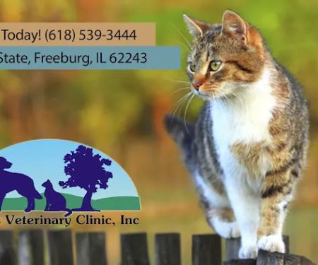 AnRus Veterinary Clinic