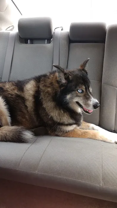 AnRus Veterinary Clinic Picture 5