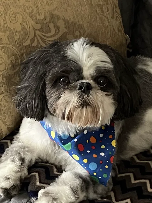 AnRus Veterinary Clinic Picture 4