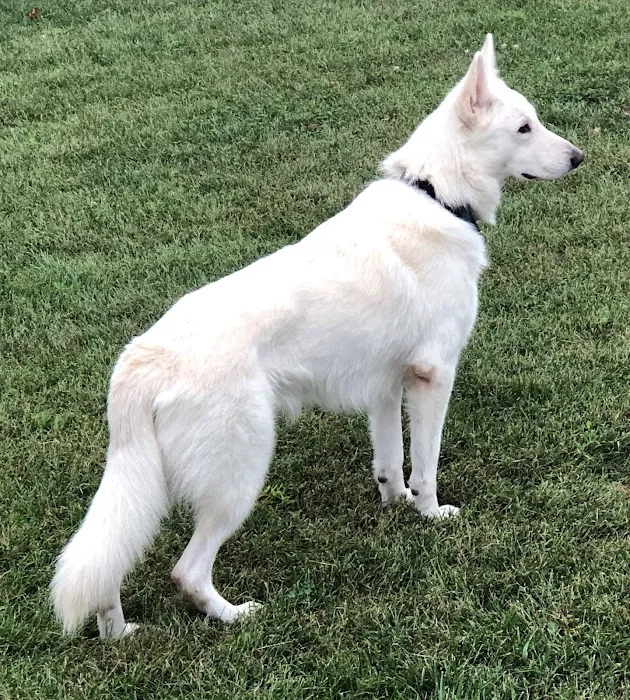 AnRus Veterinary Clinic Picture 8