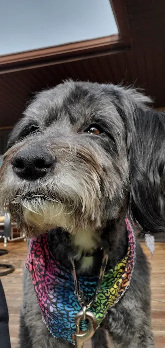 AnRus Veterinary Clinic Picture 9