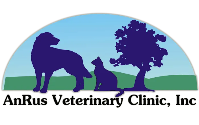 AnRus Veterinary Clinic Picture 10