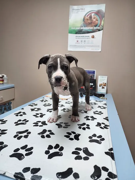 Freeburg Animal Hospital PC Picture 5