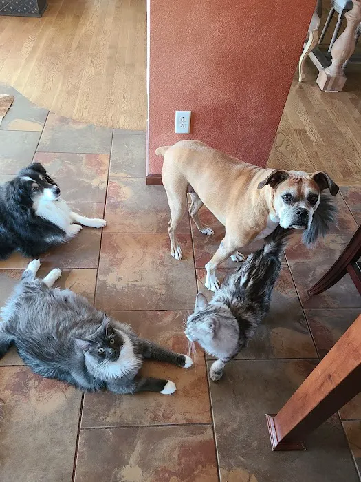 MetroEast Home Vet Care Picture 1