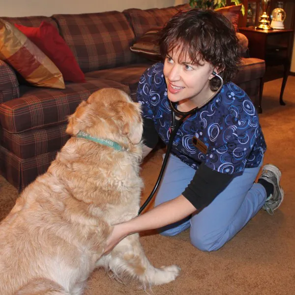 MetroEast Home Vet Care Picture 9