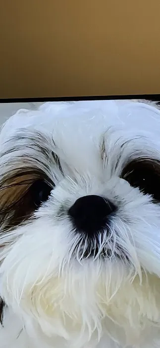 Hoof & Paw Animal Clinic Picture 1