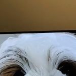 Hoof & Paw Animal Clinic