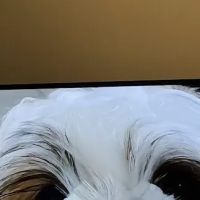 Hoof & Paw Animal Clinic ico