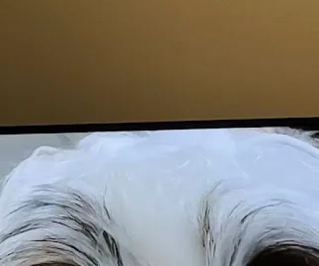 Hoof & Paw Animal Clinic