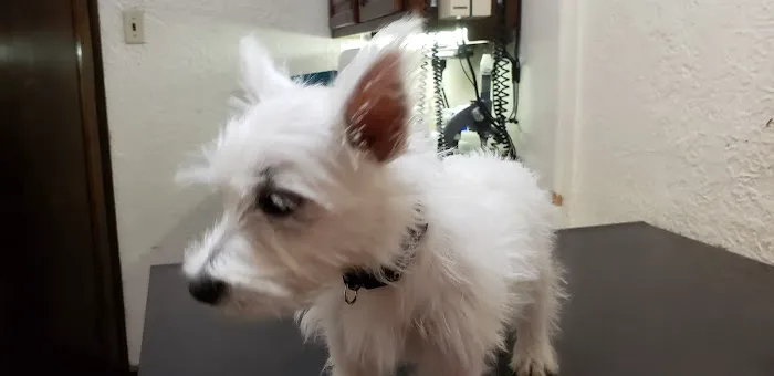 Hoof & Paw Animal Clinic Picture 4