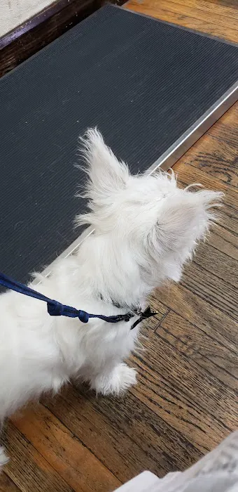 Hoof & Paw Animal Clinic Picture 3