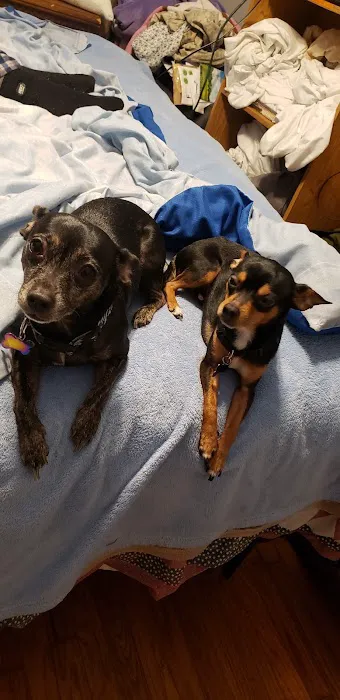 Hoof & Paw Animal Clinic Picture 7