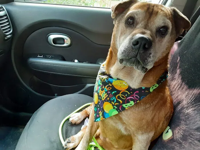 Hoof & Paw Animal Clinic Picture 5