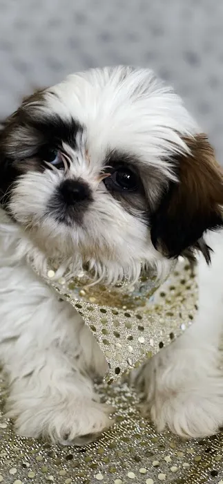 Hoof & Paw Animal Clinic Picture 6