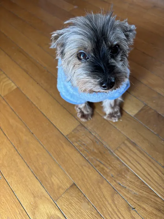 Hoof & Paw Animal Clinic Picture 2